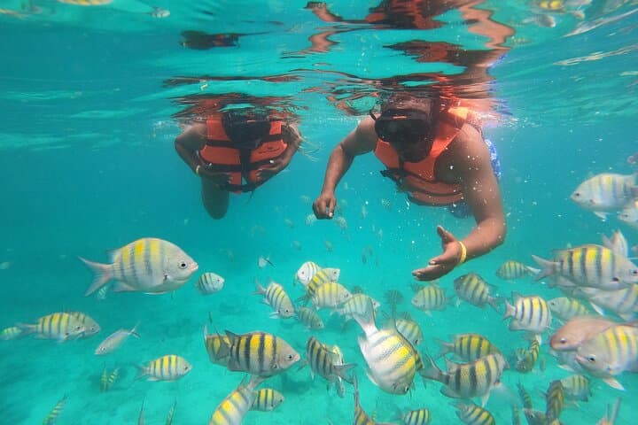 Punta Cana Half-Day Snorkel Cruise & Natural Pool with Open Bar