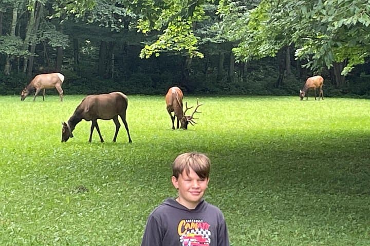 Maggie Valley UTV Elk Eco Adventure: 3–3.5 Hour Off-Road Tour photo 2