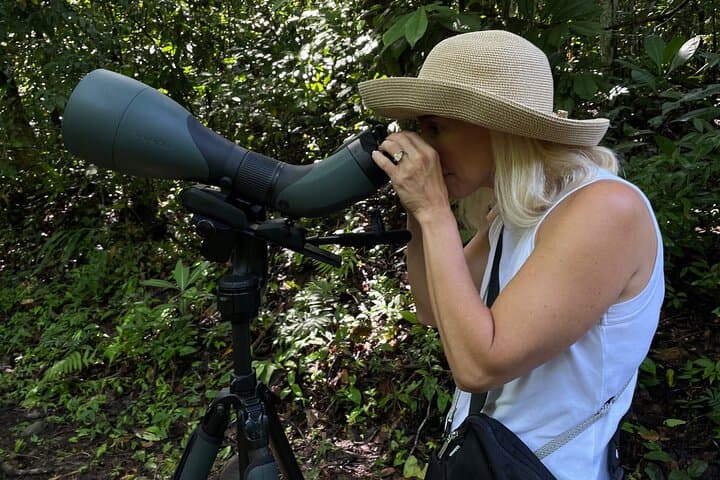 Esquipulas Rainforest Private Birding Tour — 4‑Hour Customizable Quepos Birdwatching photo 3