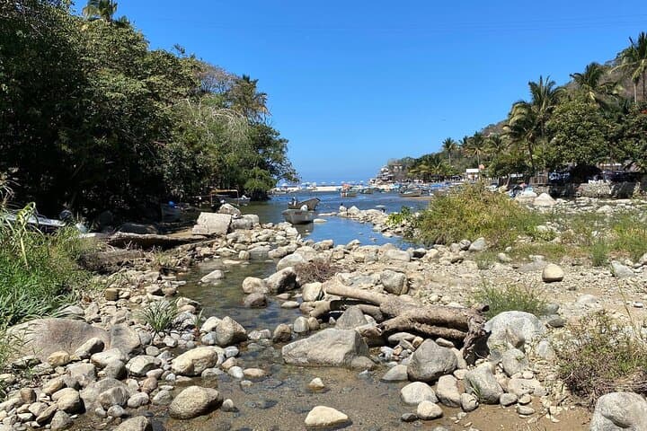 Boca de Tomatlán to Playa Las Ánimas: Coastal Jungle Hike and Boat Return photo 3