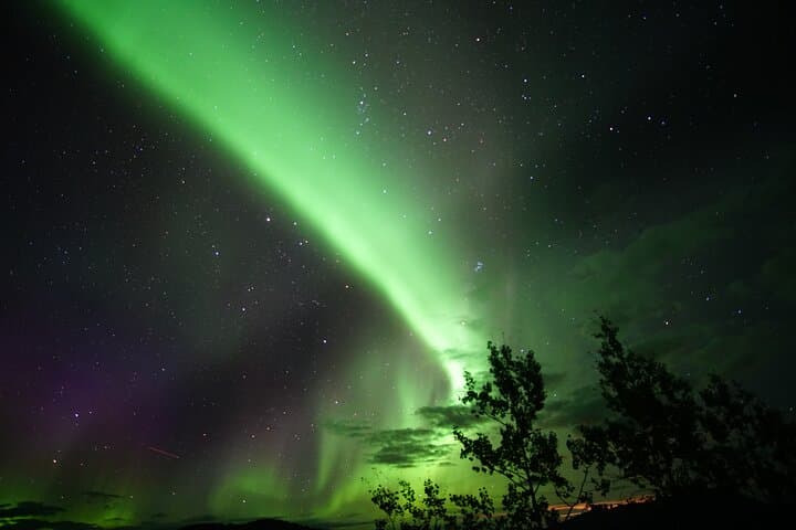 Whitehorse Northern Lights & Yukon Wildlife Tour: AuroraCentre Evenings and Wildlife Preserve photo 5