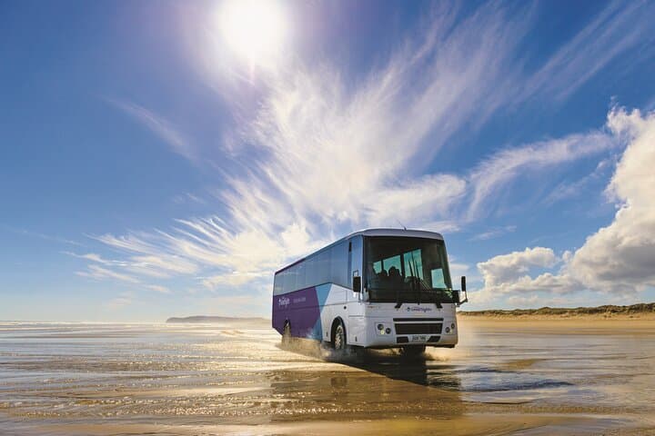Far North New Zealand Coach Tour: 90 Mile Beach & Cape Reinga Day Trip from Paihia photo 2