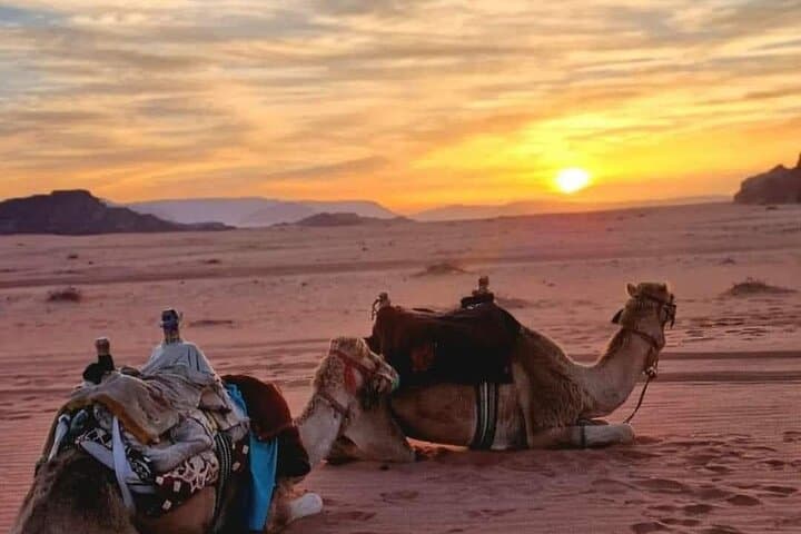 Two-Day Jordan Highlights: Petra, Wadi Rum, Wadi Mujib, Aqaba & Dead Sea