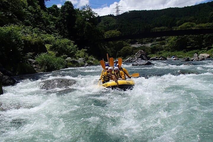 Tama River Whitewater Rafting in Ome: 2-Hour Rapids, Gorges & Jump Rock photo 3