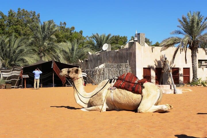 Abu Dhabi Heritage Village Day Trip from Dubai: Sheikh Zayed, Corniche & Saadiyat photo 6