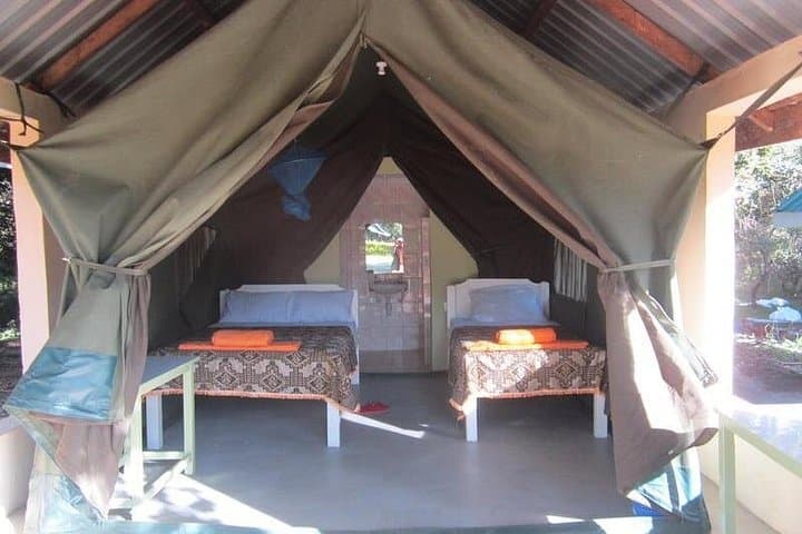 7-Day Small-Group Safari: Maasai Mara, Nakuru, Naivasha & Amboseli photo 2