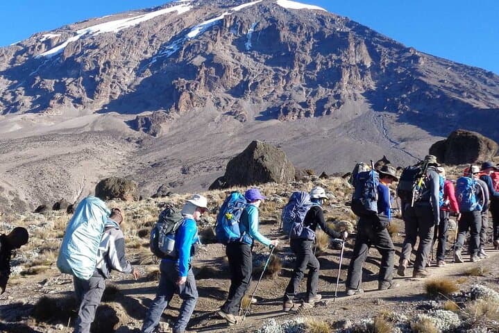 Lemosho Route: 8-Day Mount Kilimanjaro Trek to Uhuru Peak photo 2