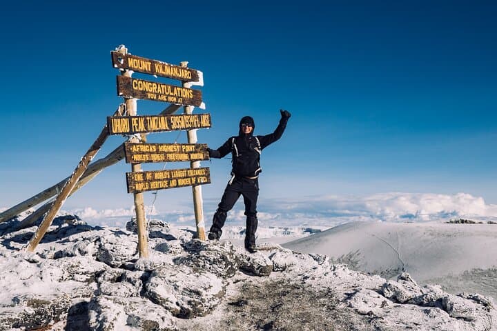 Lemosho Route: 8-Day Mount Kilimanjaro Trek to Uhuru Peak photo 3