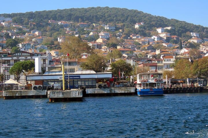 Princes' Islands Day Cruise to Kınalıada & Büyükada with Lunch and Transfers photo 3