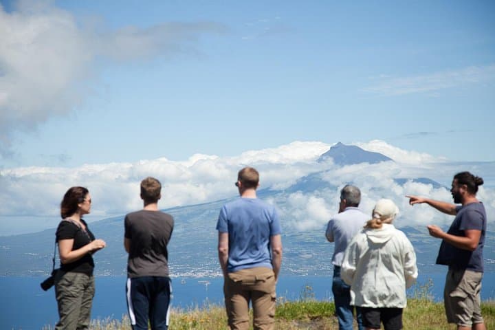 Full-Day Private Faial Island Tour: Caldeira, Capelinhos & Coastal Highlights photo 1