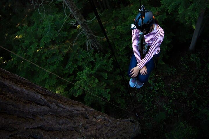 Sunset Canopy Climb on Lopez Island: Experience Washington’s Ancient Giants from Above photo 4