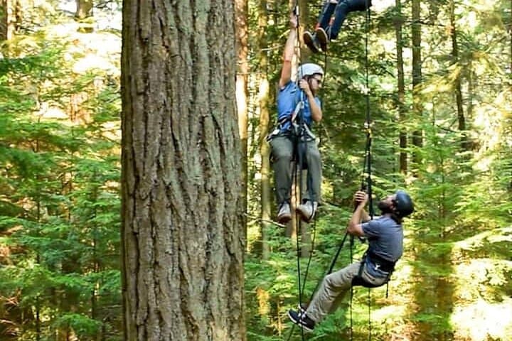 Sunset Canopy Climb on Lopez Island: Experience Washington’s Ancient Giants from Above photo 5