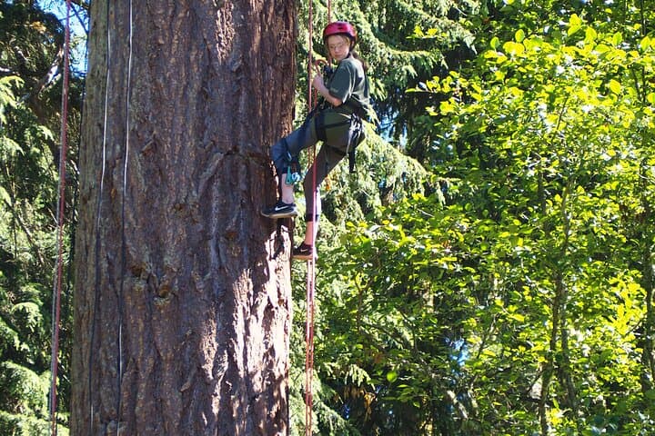 Sunset Canopy Climb on Lopez Island: Experience Washington’s Ancient Giants from Above photo 6