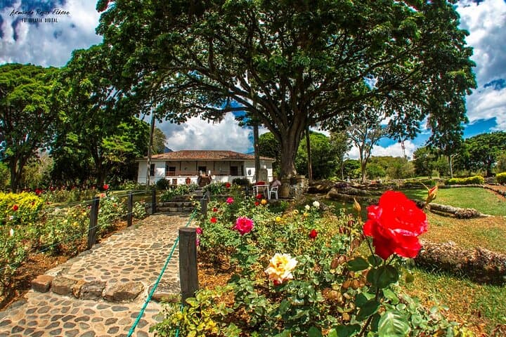 Hacienda El Paraiso and Piedechinche Day Tour from Cali — Sugarcane Haciendas & Museum