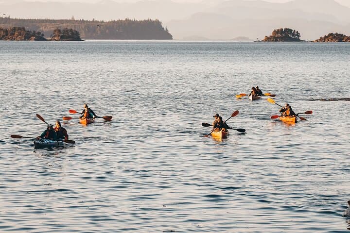 Sea Kayaking Johnstone Strait — Half-Day Wildlife Tour from Telegraph Cove photo 2