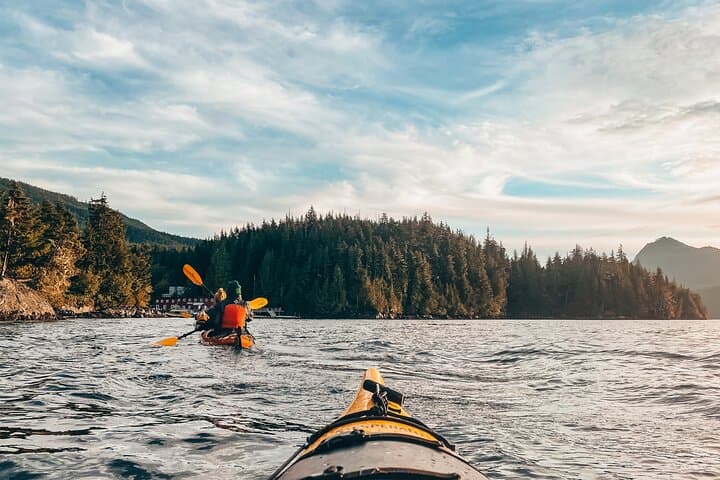 Sea Kayaking Johnstone Strait — Half-Day Wildlife Tour from Telegraph Cove