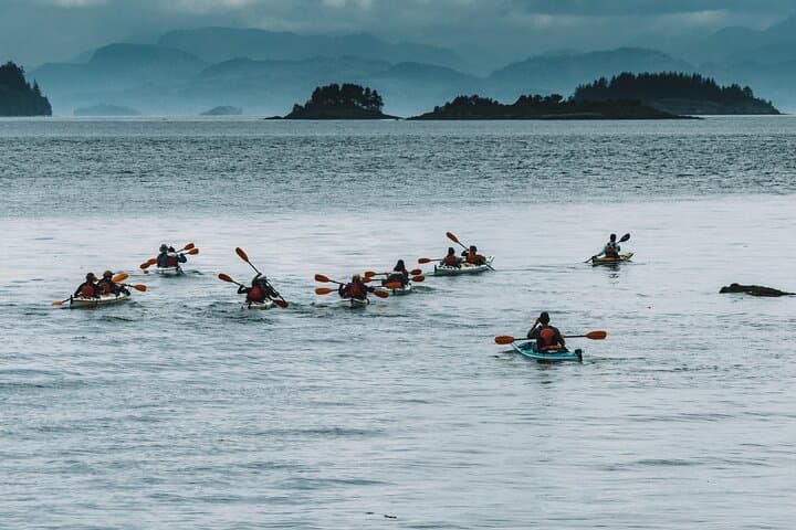 Sea Kayaking Johnstone Strait — Half-Day Wildlife Tour from Telegraph Cove photo 3