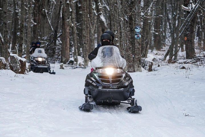 Snow Day Adventure at Llanos del Castor: Snowshoe, Mushing & Snowmobiling from Ushuaia photo 3