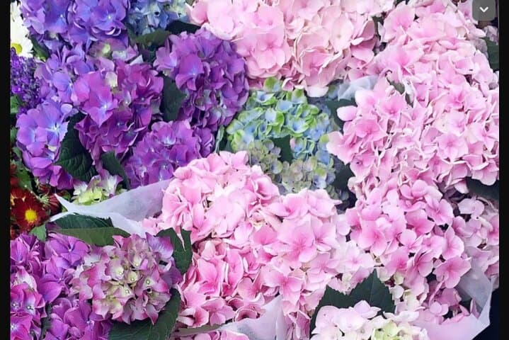 Inside NYC's Historic Flower District: A Guided Walk Through Wholesale Blooms photo 3