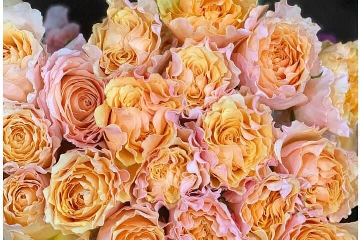 Inside NYC's Historic Flower District: A Guided Walk Through Wholesale Blooms photo 4
