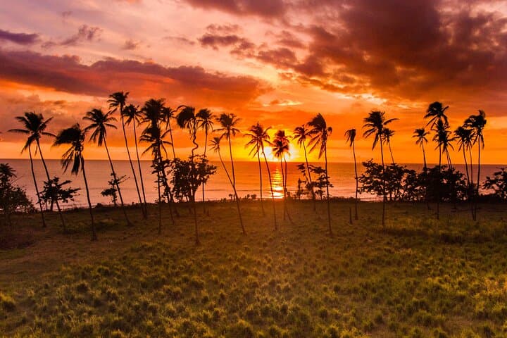 Rincón Sunset & Nightlife Tour: Empanadas, Mojitos and Surf Culture