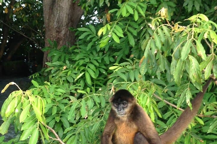 Full-Day Nicaragua Border Tour: Granada, Lake Nicaragua & Volcano Views photo 2