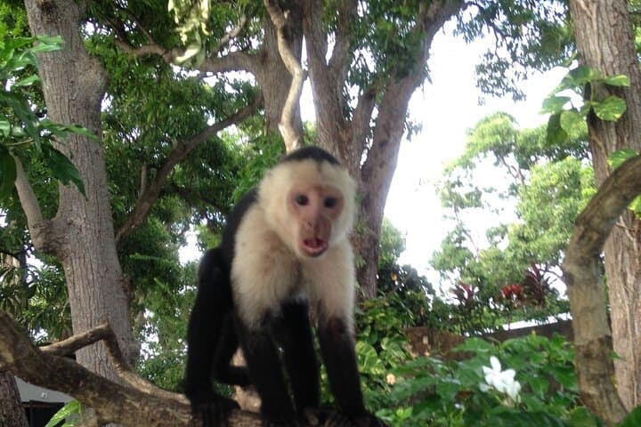 Full-Day Nicaragua Border Tour: Granada, Lake Nicaragua & Volcano Views photo 3