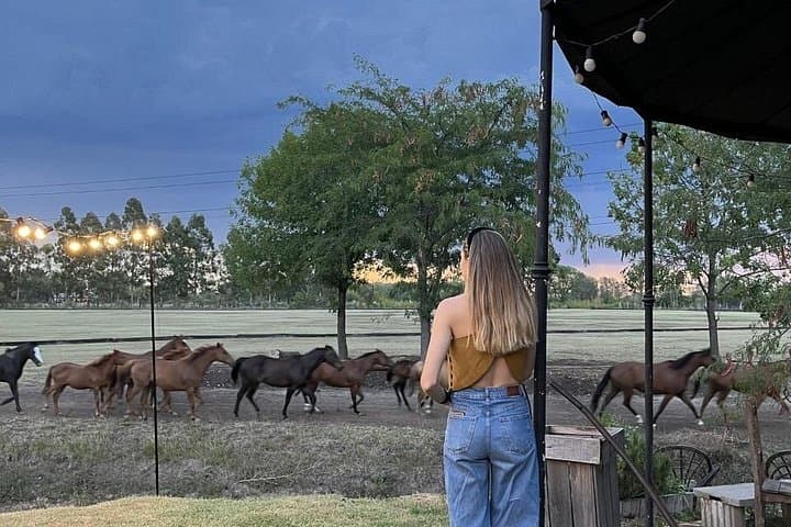 Argentina Polo Experience by La Guapeada — Day Trip Polo Near Buenos Aires photo 4