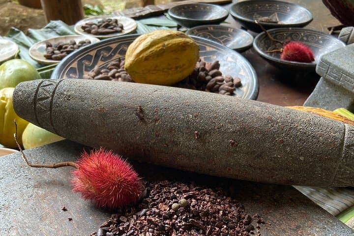 Chachagua 2-Hour Cacao and Coffee Class in La Fortuna photo 4