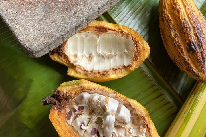 Chachagua 2-Hour Cacao and Coffee Class in La Fortuna photo 5