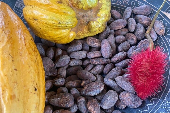 Chachagua 2-Hour Cacao and Coffee Class in La Fortuna photo 6