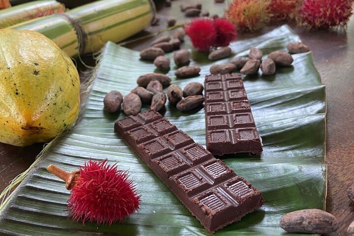 Chachagua 2-Hour Cacao and Coffee Class in La Fortuna
