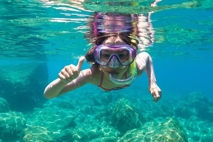 Figarolo Dolphin Watching and Snorkeling — Half-Day Tour from Olbia photo 3