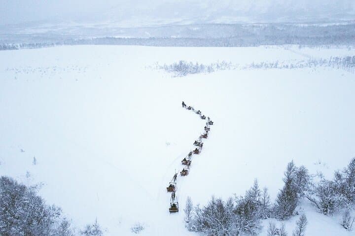 Reindeer Sledding & Sami Culture in Tromso: Reindeer Feeding Experience photo 5