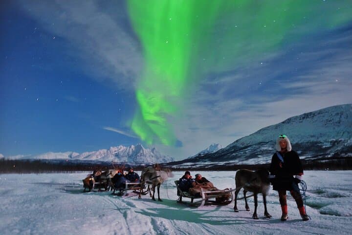 Reindeer Sledding and Sami Evening: Northern Lights Tour from Tromsø photo 2