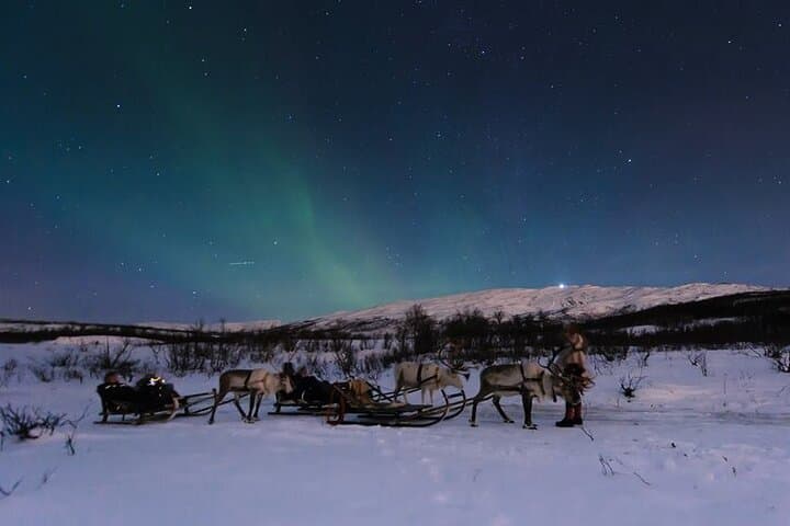 Overnight Reindeer Sledding & Hot-Tent Camping Near Tromsø — Sami Camp Experience photo 5