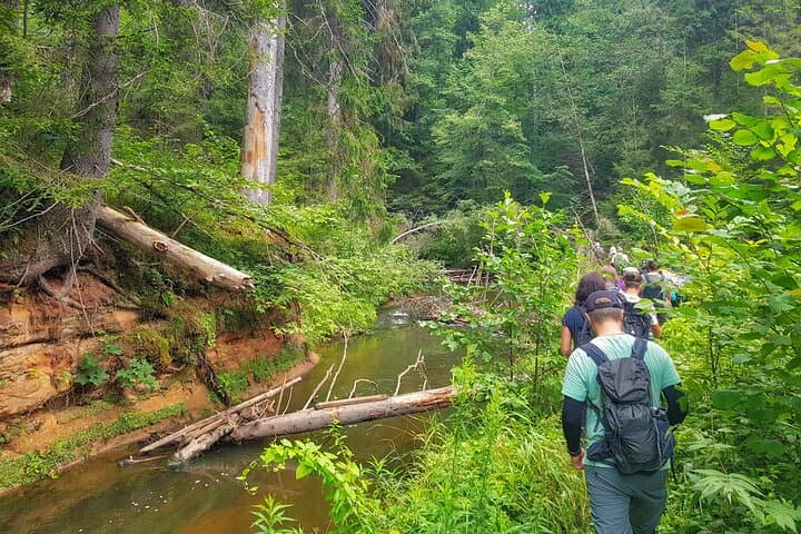 Gauja National Park Day Hike & Cēsis Castle Tour — Full-Day from Riga photo 2