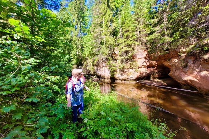 Gauja National Park Day Hike & Cēsis Castle Tour — Full-Day from Riga photo 6