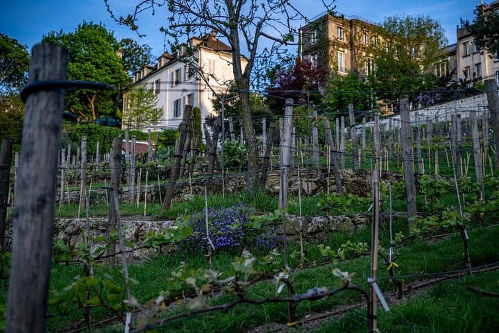 Private Vintage Car & Montmartre Walking Tour with CDG Transfers — Paris Experience photo 6