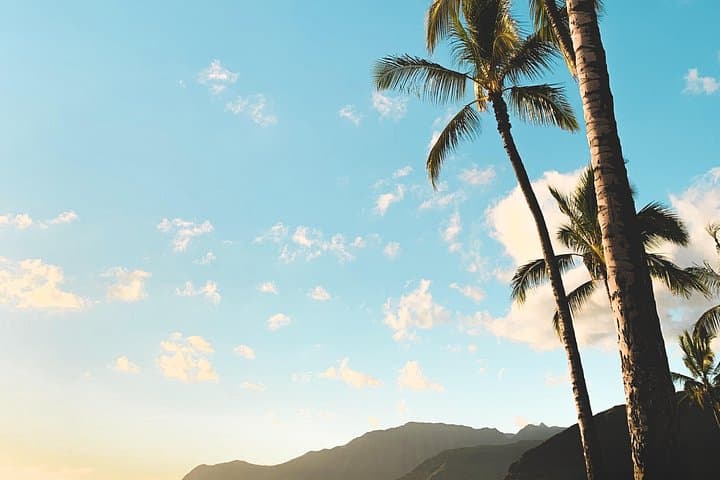Oahu North Shore One-Day Scenic Tour from Waikiki — Koʻolau Range, Dole Plantation & Sunset Beach photo 3