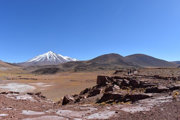 Full-Day Altiplanic Lagoons, Piedras Rojas & Chaxa Lagoon from San Pedro de Atacama photo 4
