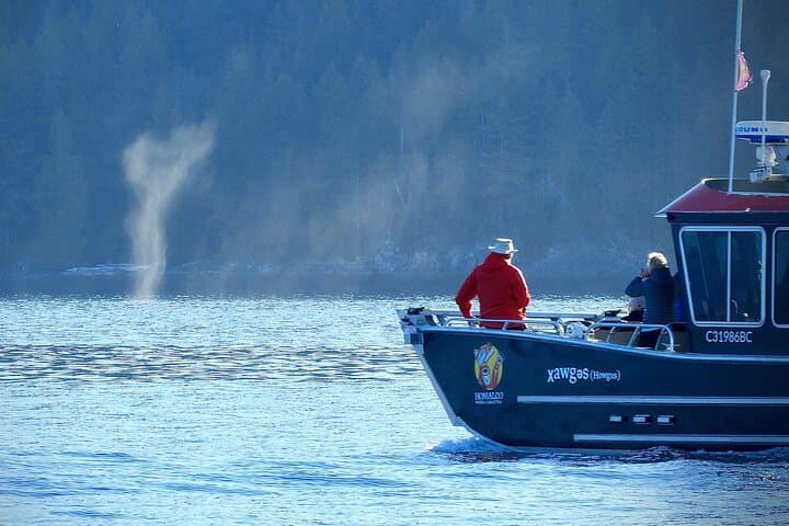 Salish Sea Whale Watching in Campbell River — Orcas, Humpbacks & Indigenous Culture