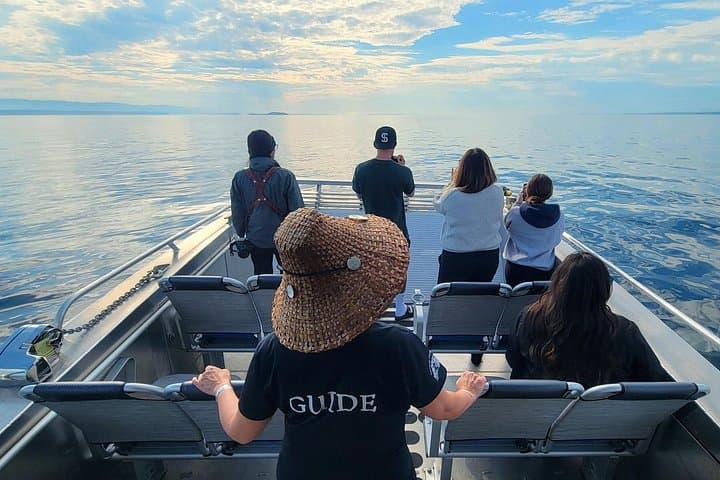 Salish Sea Whale Watching in Campbell River — Orcas, Humpbacks & Indigenous Culture photo 4