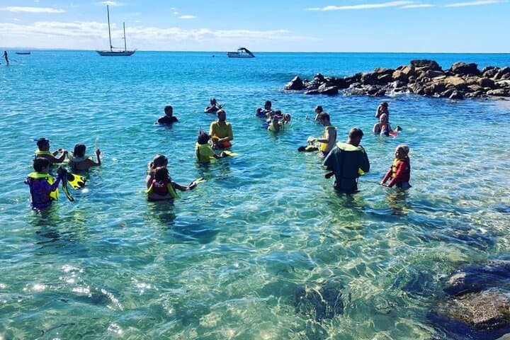 Private Rincon Snorkeling Adventure at Tres Palmas Marine Reserve photo 2