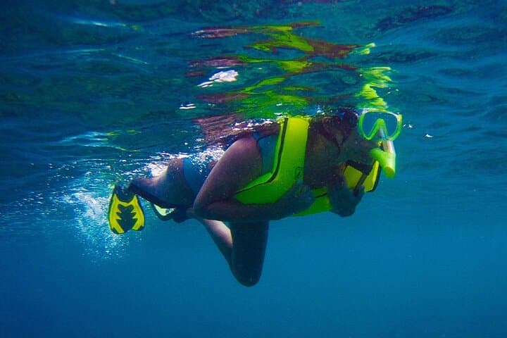Private Rincon Snorkeling Adventure at Tres Palmas Marine Reserve photo 4