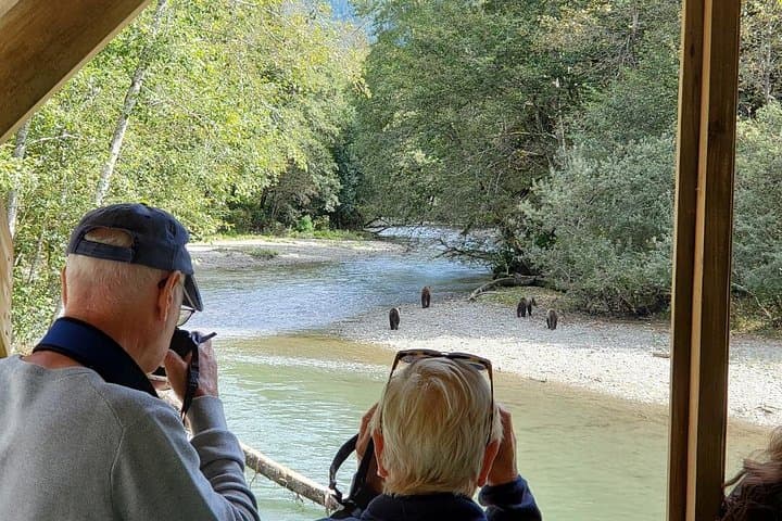 Great Bears of Bute: Grizzly Viewing & Indigenous Cultural Tour from Campbell River photo 3
