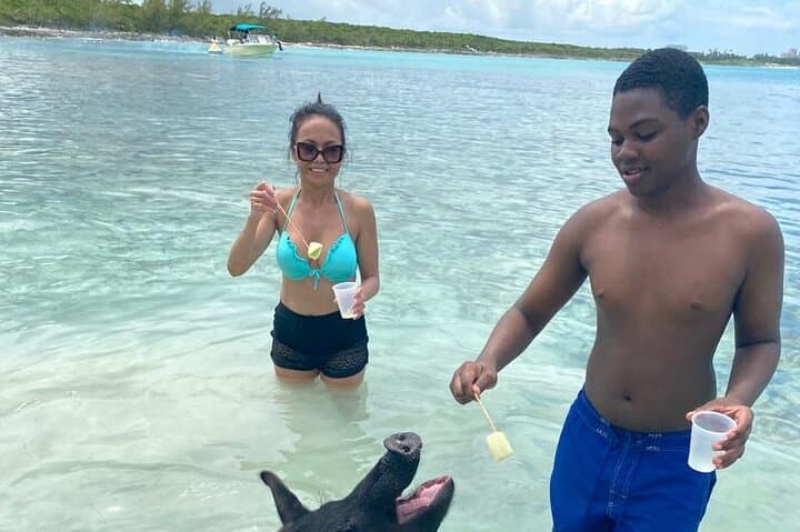 Powerboat Snorkel Tour from Nassau: Swimming Pigs, Turtles & Sandy Cay photo 4