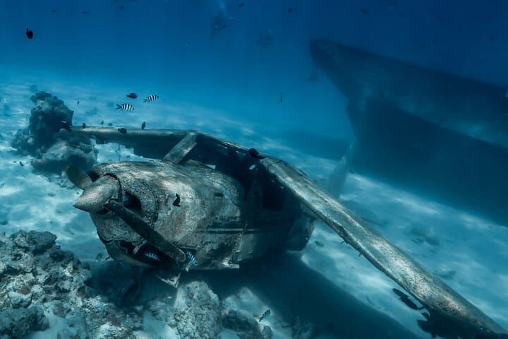 Tahiti Private Snorkel Tour: Guided Lagoon Mask & Fins Excursion
