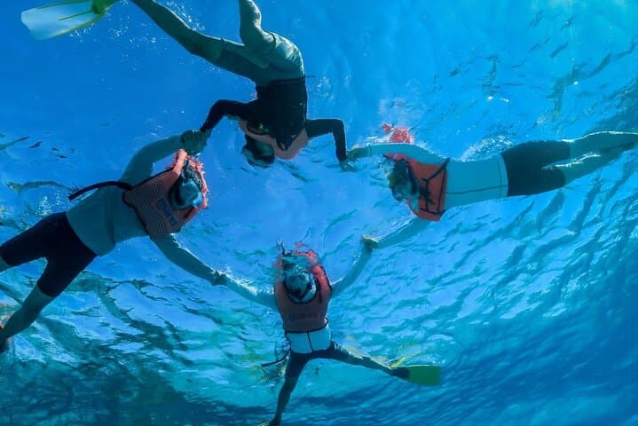 Tahiti Private Snorkel Tour: Guided Lagoon Mask & Fins Excursion photo 2