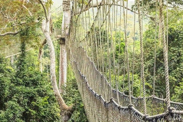 Cape Coast Castle & Kakum Canopy Walk: Day Trip from Accra to Ghana's Coastal Heritage photo 2